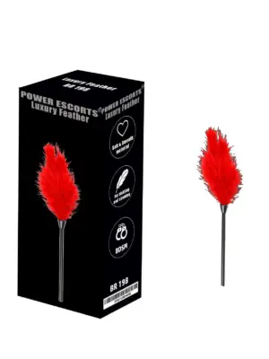 Luxury feather red