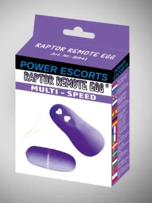 Raptor remote egg purple remote egg