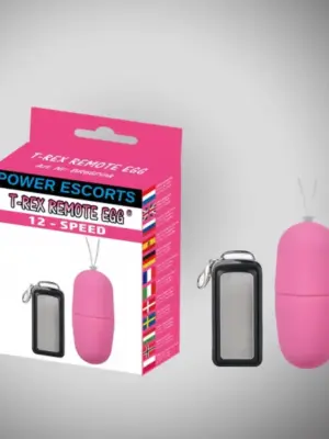 T rex remote egg pink remote control egg 12 speed