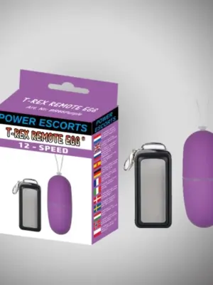 T rex remote egg purple remote control egg 12 speed