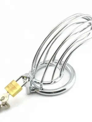 Prison BReak metal large 50 mm with lock
