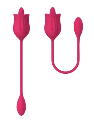 Stymulator - Licking massager with vibrating Egg USB 10 Functions