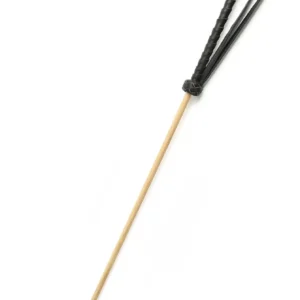 The Obedience Cane
