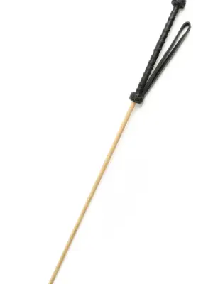 The Obedience Cane