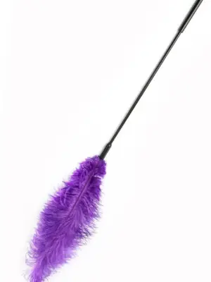 Piórka do łaskotania Double Feather Purple
