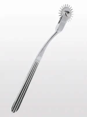 Warterberg Wheel Silver