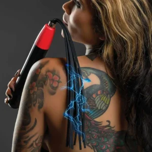 Electro Wand Whip