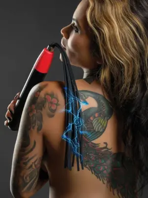 Electro Wand Whip