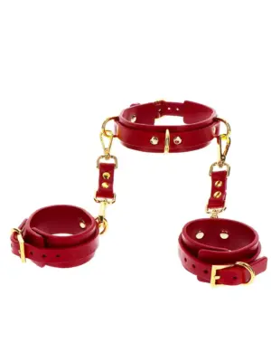 D-Ring Collar and Wrist Cuffs Red