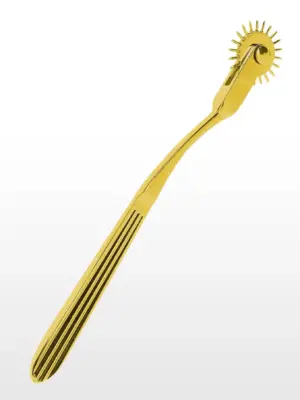 Warterberg Wheel Gold