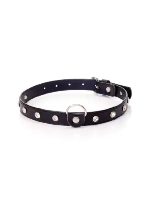 Fetish B - Series - Collar 2 cm silver crystal