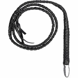 Twisted Whip
