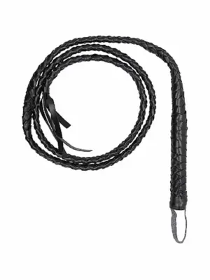 Twisted Whip