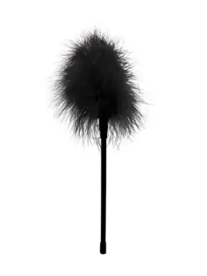 Feather