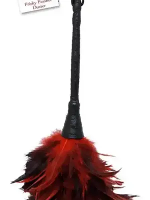 FFS Frisky Feather Duster