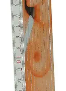 Folding Ruler "Girl" 2m