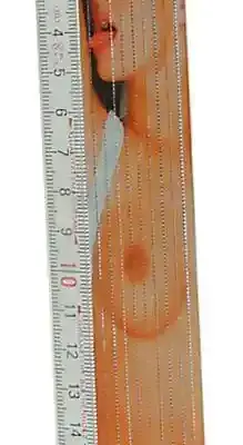 Folding Ruler "Girl" 2m