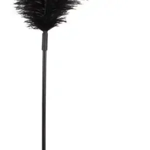 Black feather Bad Kitty