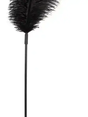 Black feather Bad Kitty
