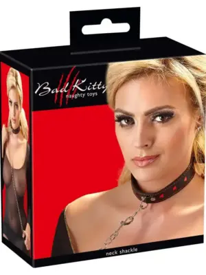 Collar and Leash