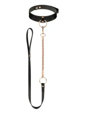 Rosy Gold - Collar with Leash - Black