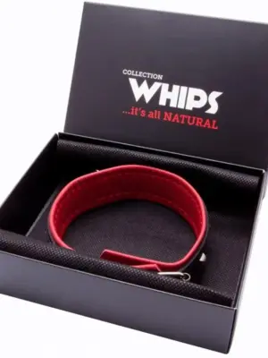 Wiązania-WHIPS obroża damska z ćwiekami