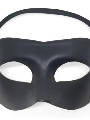 ADULT MASK ACCESSORY