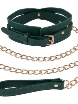 Cutout Collar And Leash