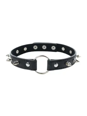 Adjustable collar with spikes