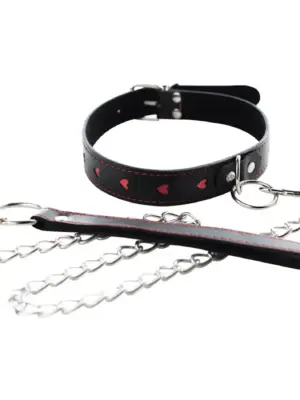 Collar with detachable leash
