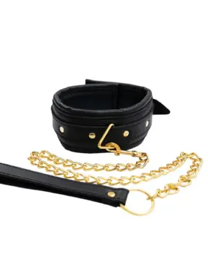 Collar with detachable leash