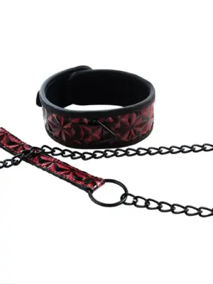 Collar with detachable leash