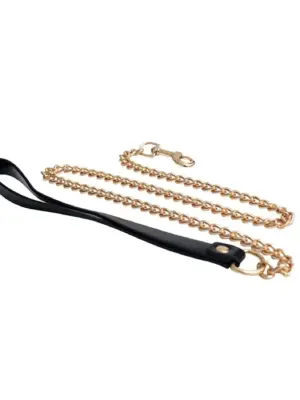 Metal and leather chain leash