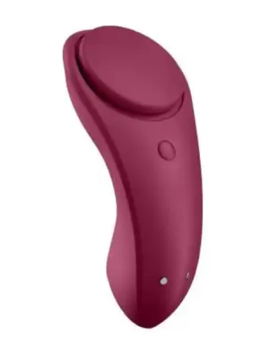 Sexy Secret Panty Vibrator