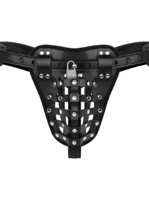 Bedroom Fantasies - Chastity Cage Panty Black