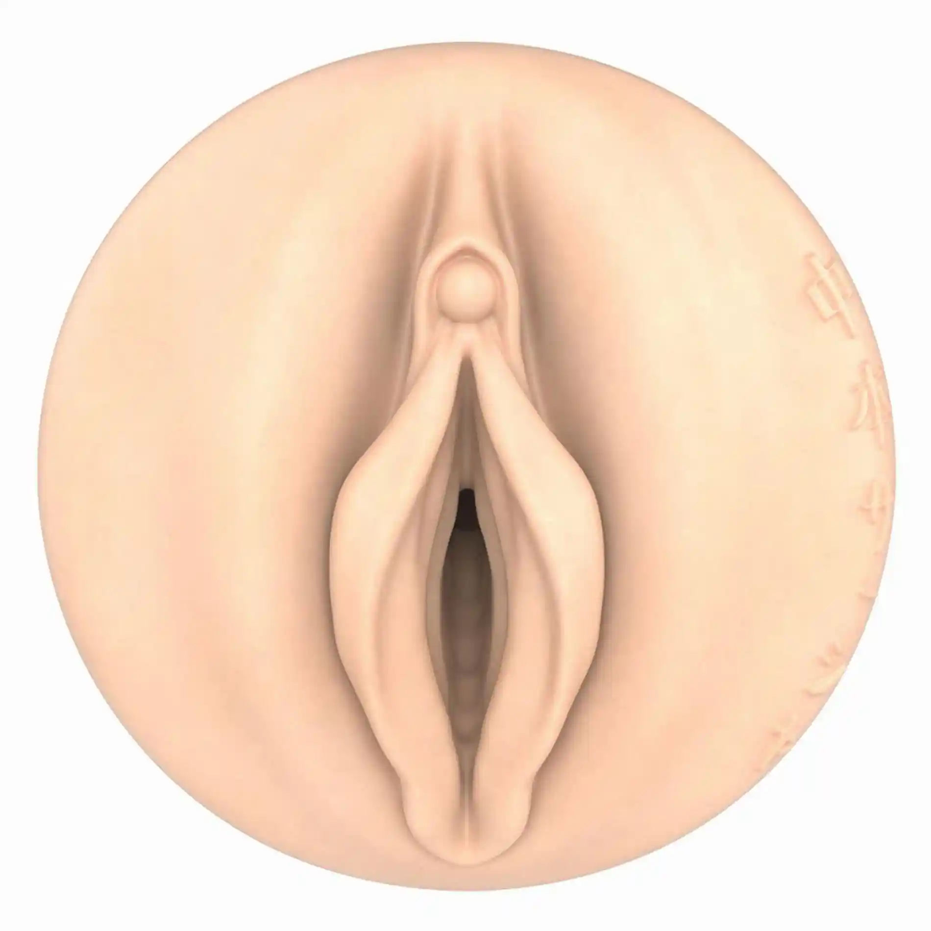 Fleshlight - Fantasy Sasha Nakamoto Ecchi Beige - obrazek 8