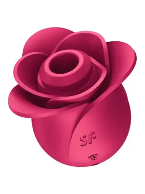 Pro 2 Modern Rose