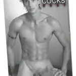 Pin-up Calendar Real Cocks 2027