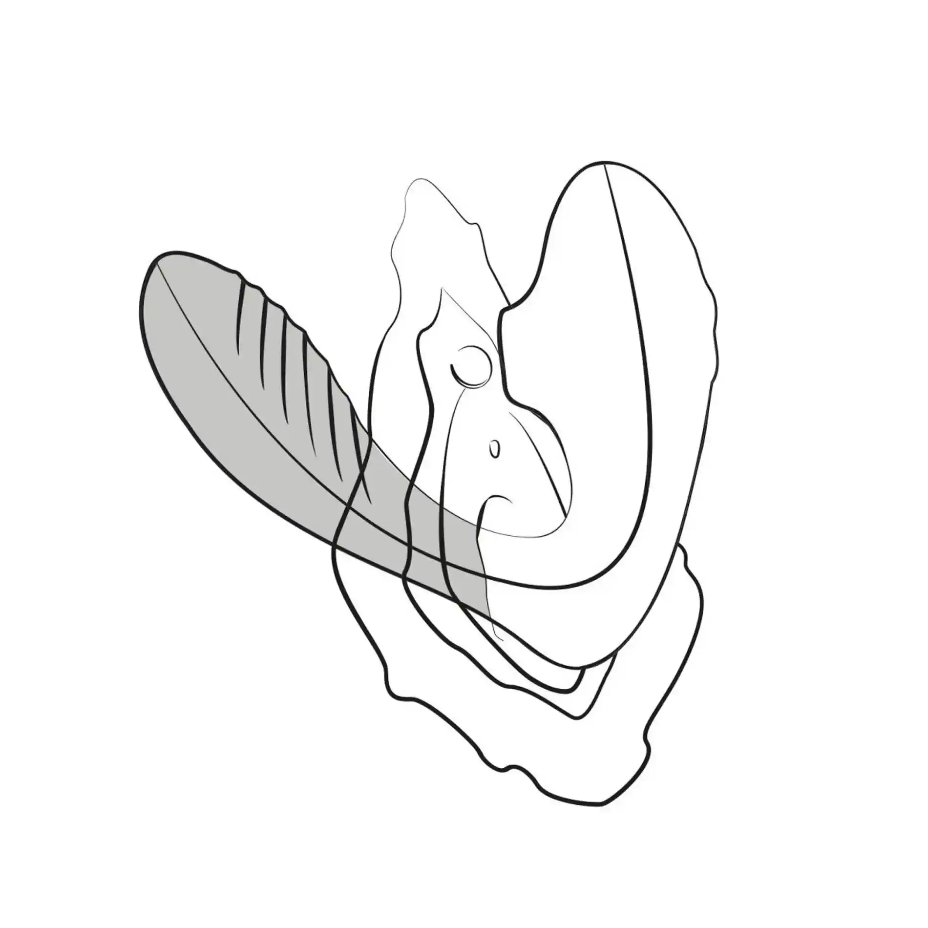 ROMP - Reverb Double Pleasure 2 in 1 - obrazek 13